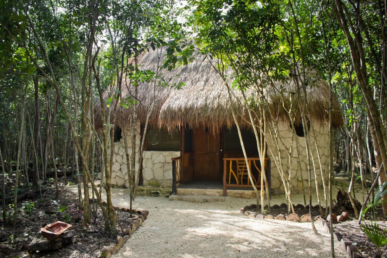 Aldea Maya-Ha Cabanas Con Cenotes بويرتو موريلوس المظهر الخارجي الصورة