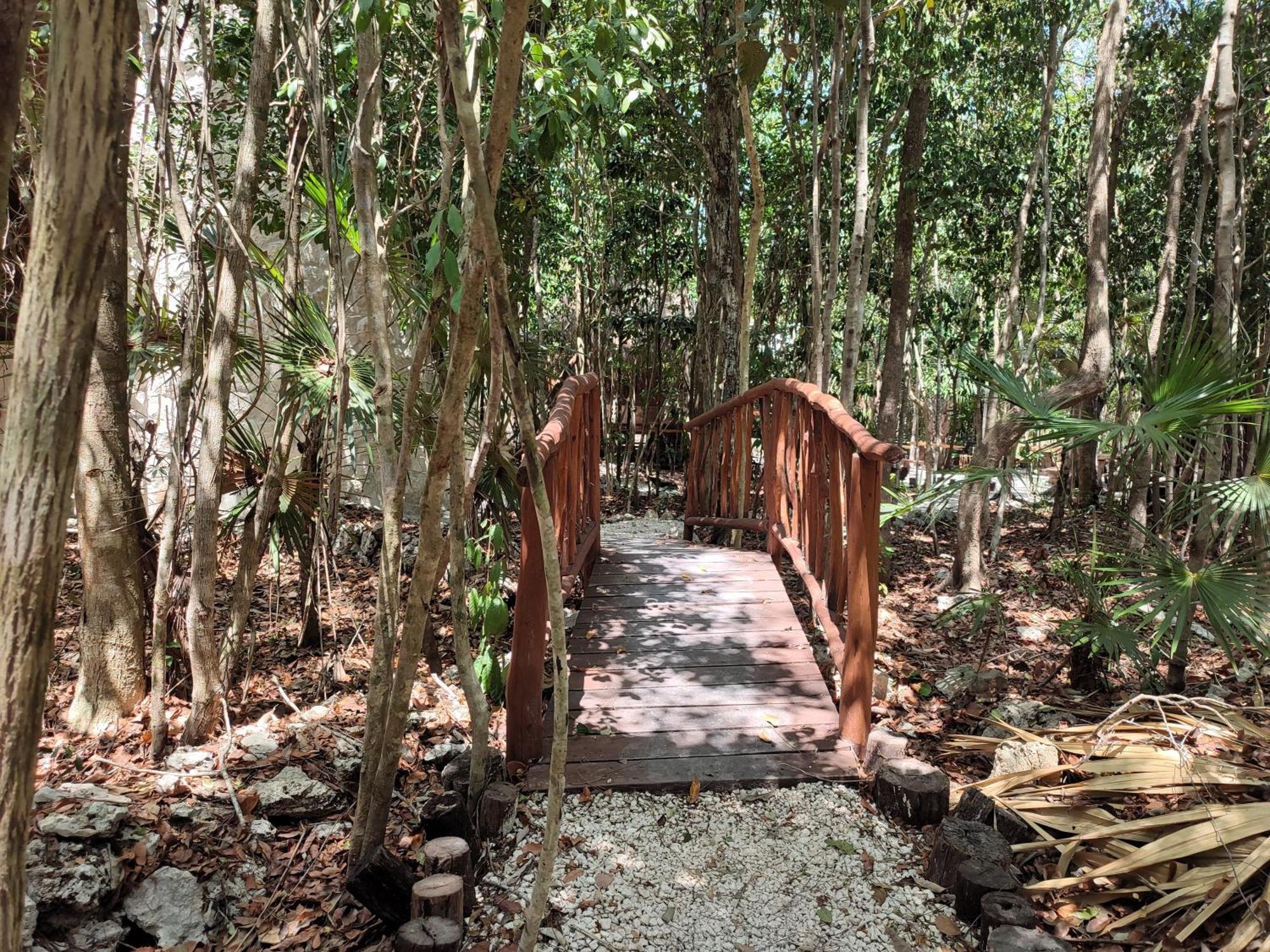 Aldea Maya-Ha Cabanas Con Cenotes بويرتو موريلوس المظهر الخارجي الصورة