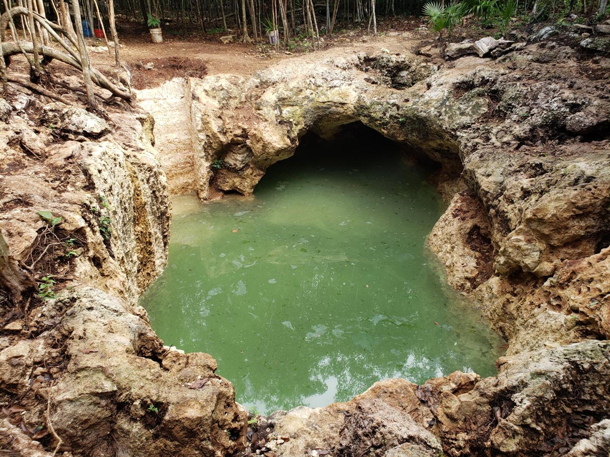 Aldea Maya-Ha Cabanas Con Cenotes بويرتو موريلوس المظهر الخارجي الصورة